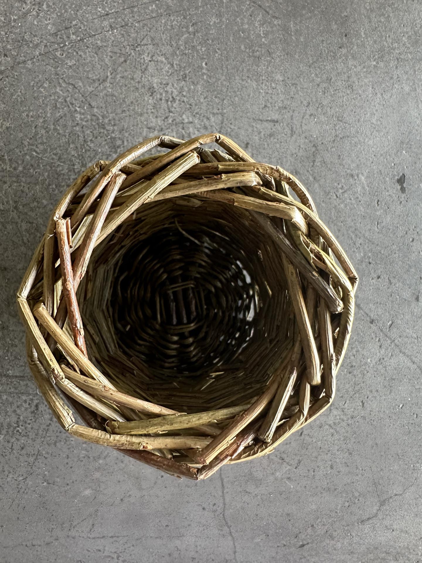Willow Caddy
