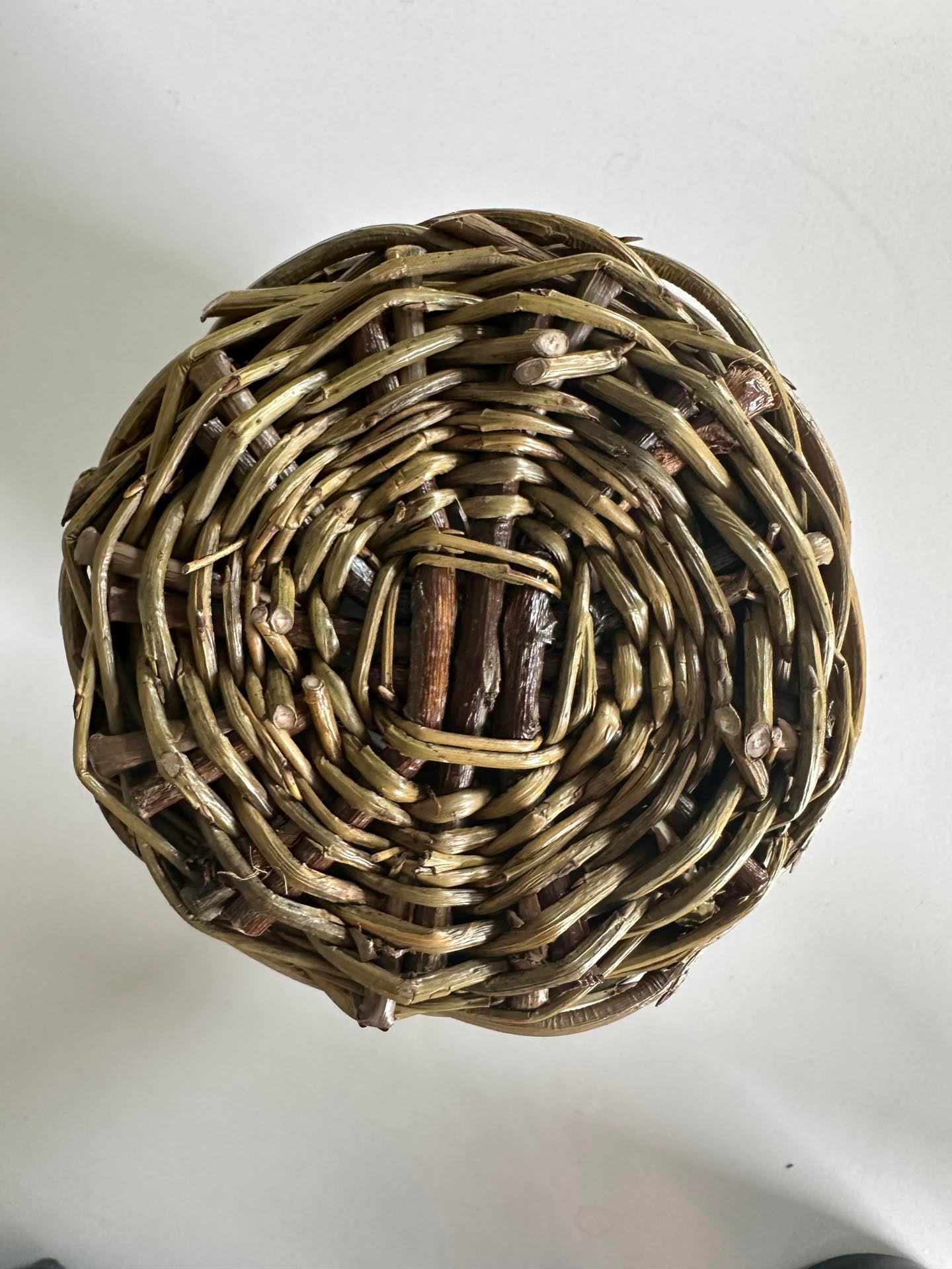 Willow Caddy